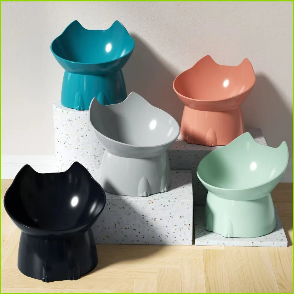 Pet Feeding Bowl