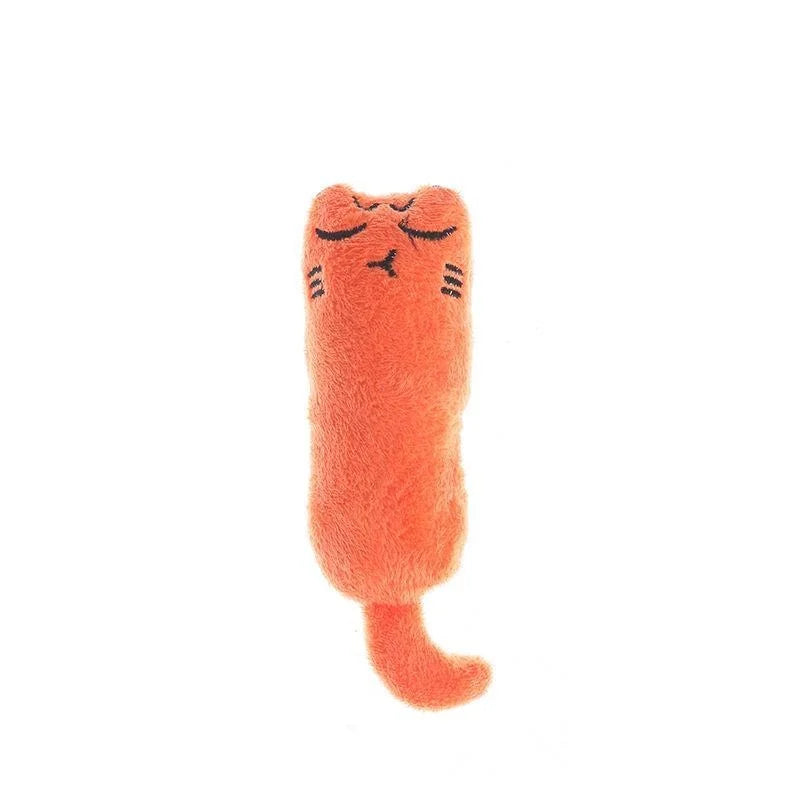Interactive Pet Toy