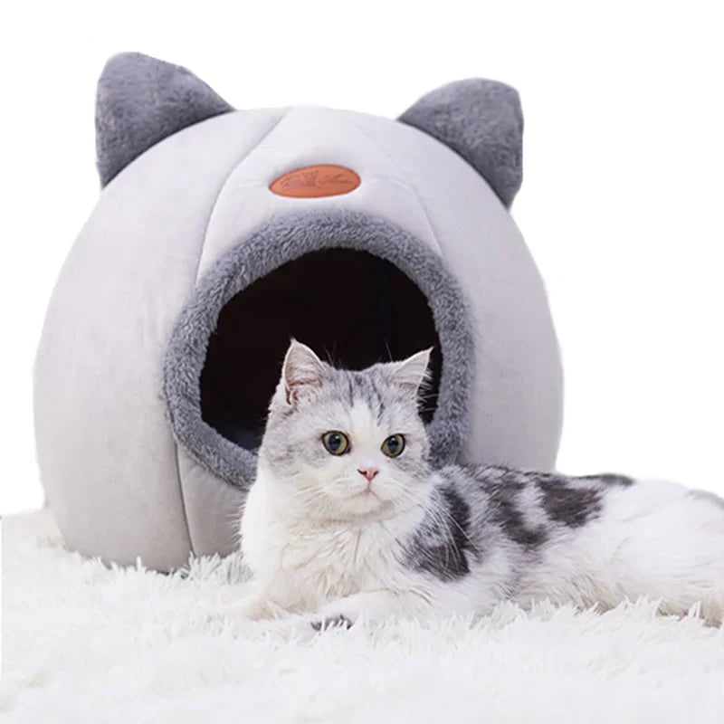 Cozy Pet Bed