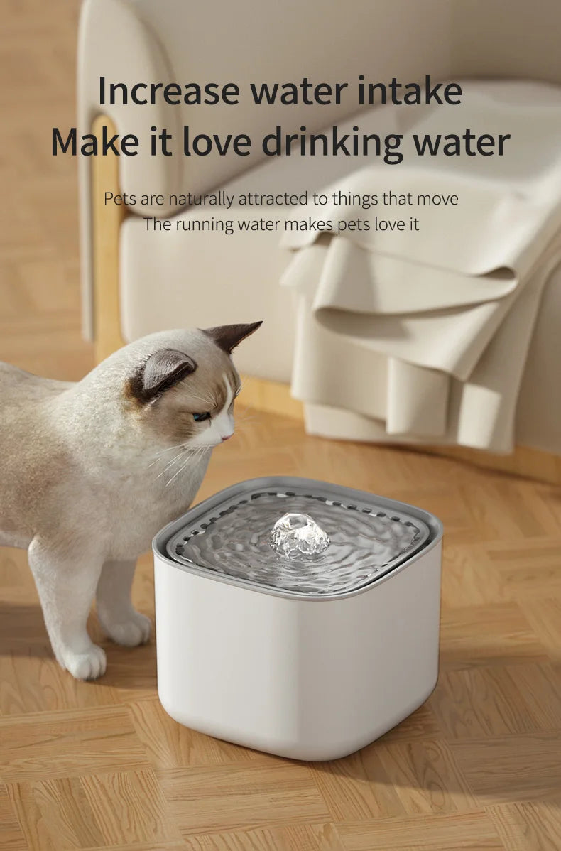 Pet Water Fountain
