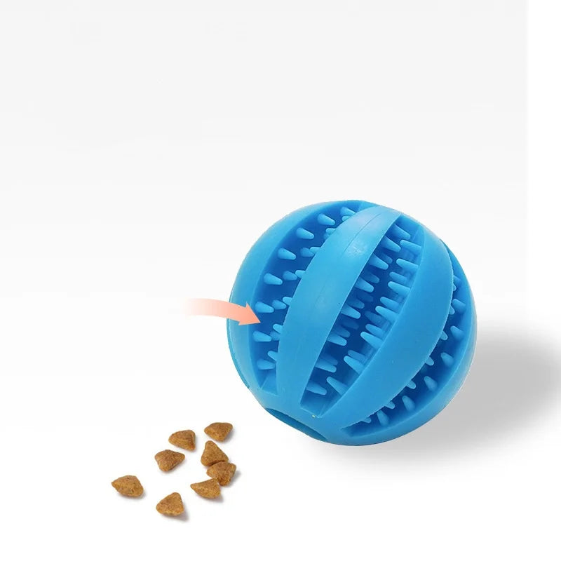Interactive Pet Ball Toy