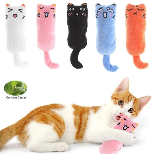 Interactive Pet Toy