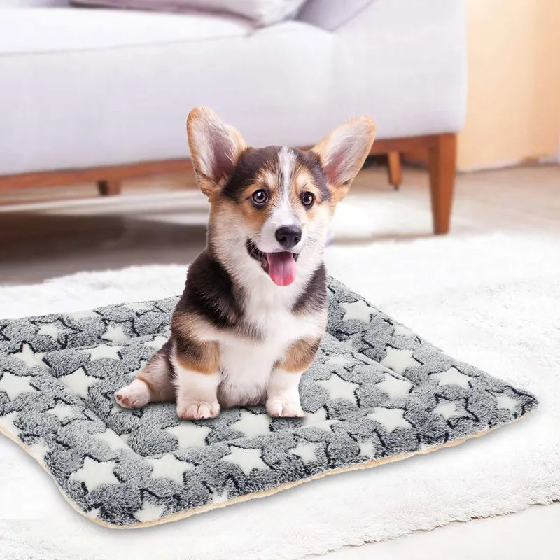Soft Pet Blanket