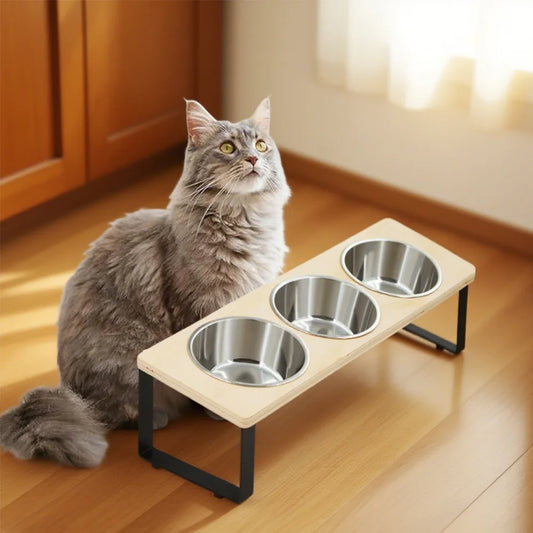 Pet Feeding Bowl