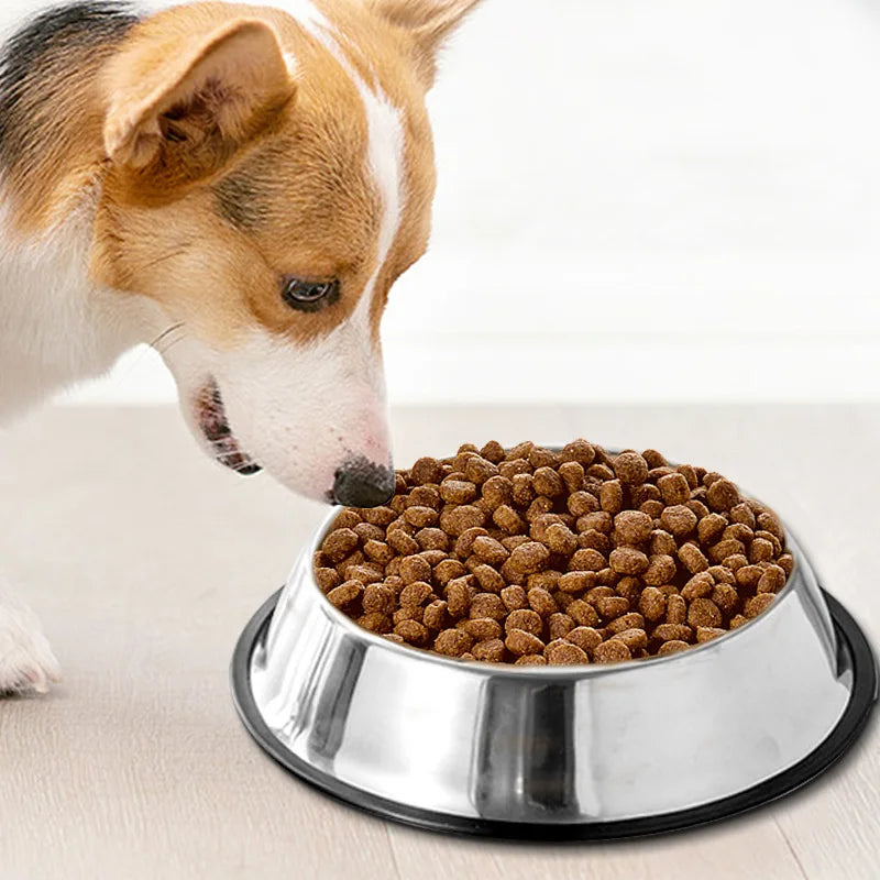 Pet Feeding Bowl