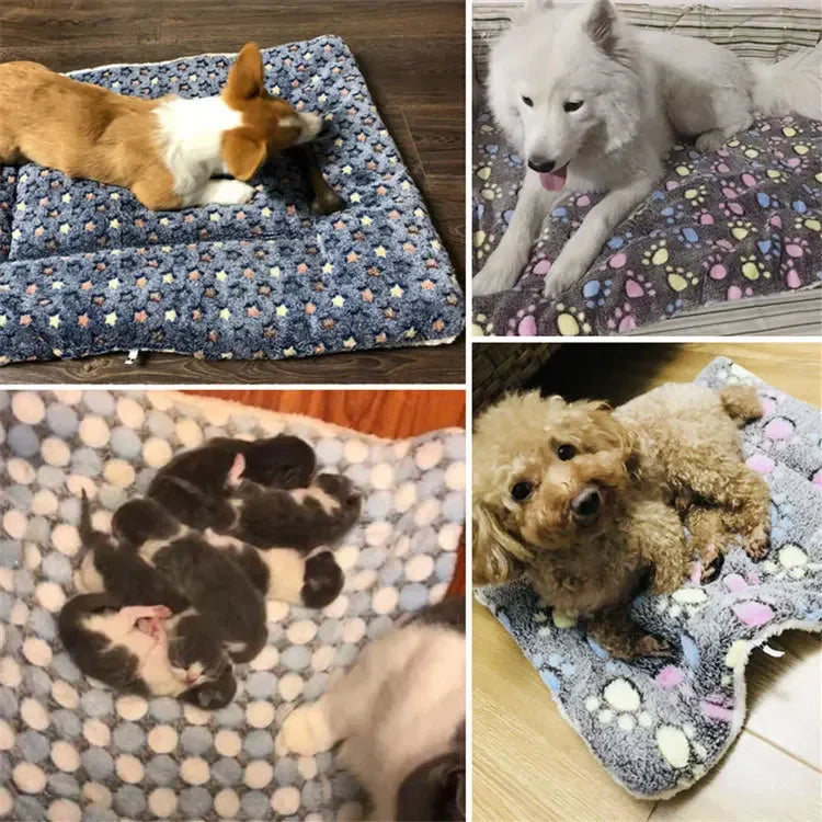 Soft Pet Blanket