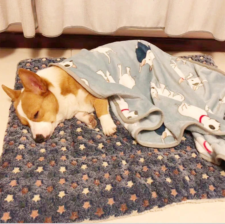 Soft Pet Blanket