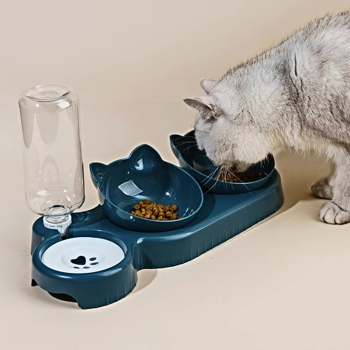 Pet Food Dispenser