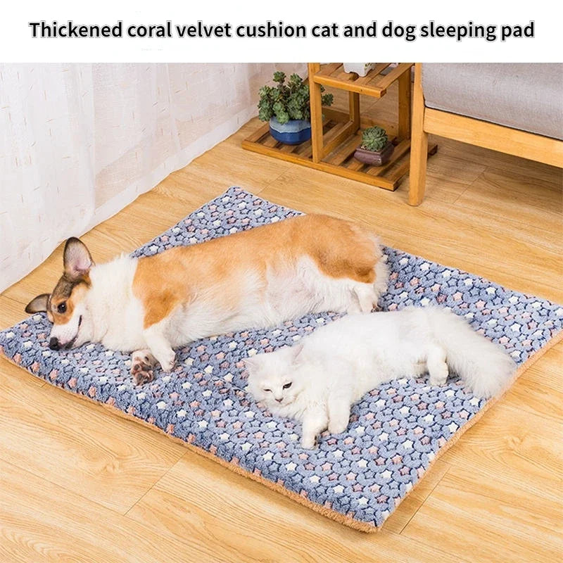 Soft Pet Blanket