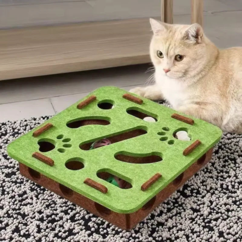 Interactive Pet Ball Toy