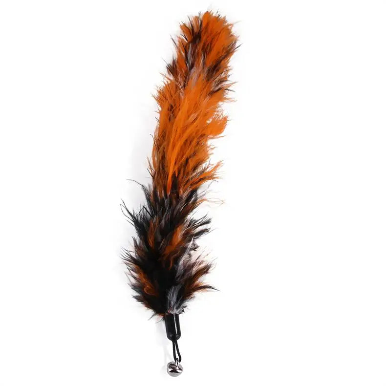 Interactive Pet Toy