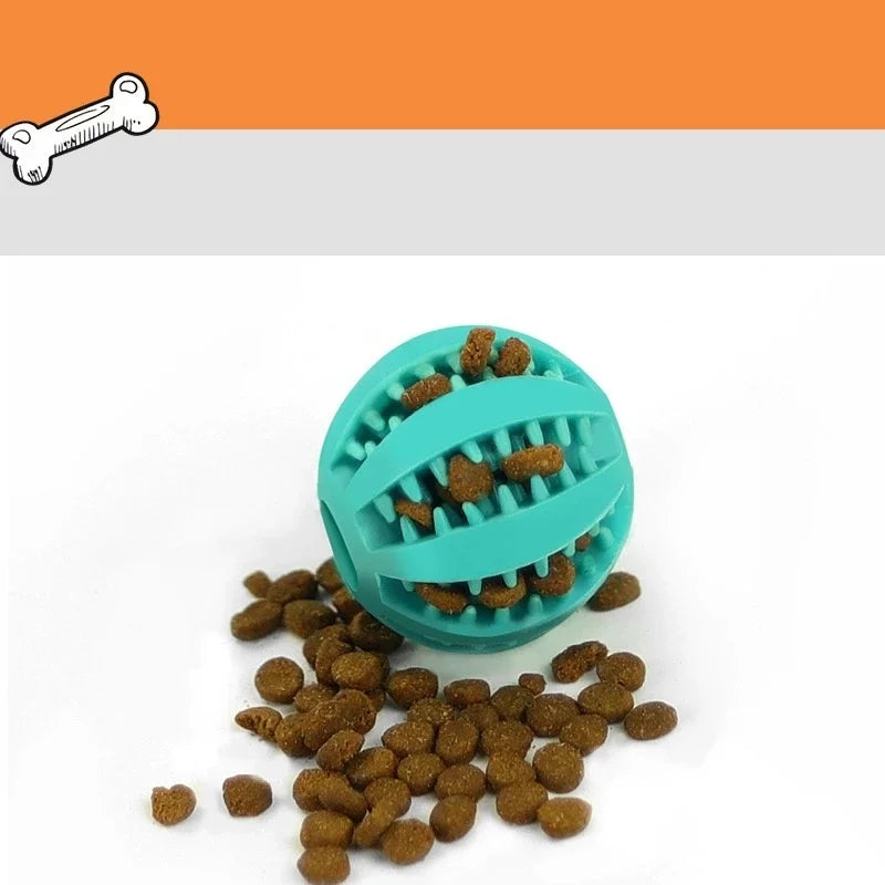 Interactive Pet Ball Toy