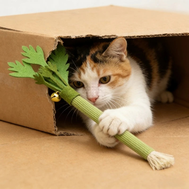 Interactive Pet Toy