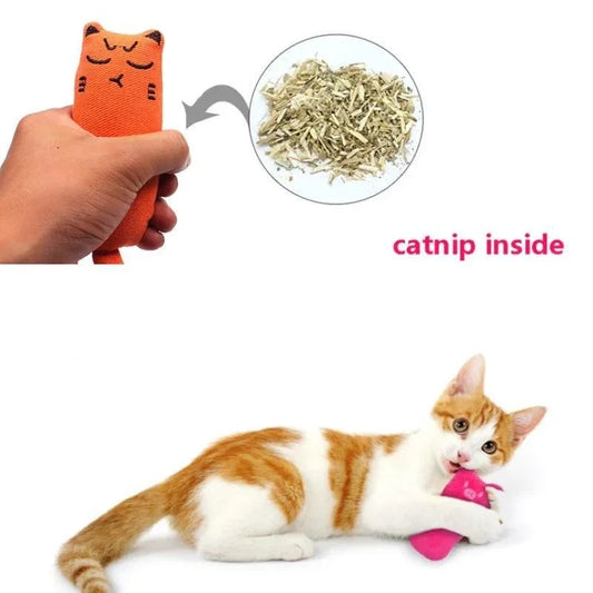 Interactive Pet Toy