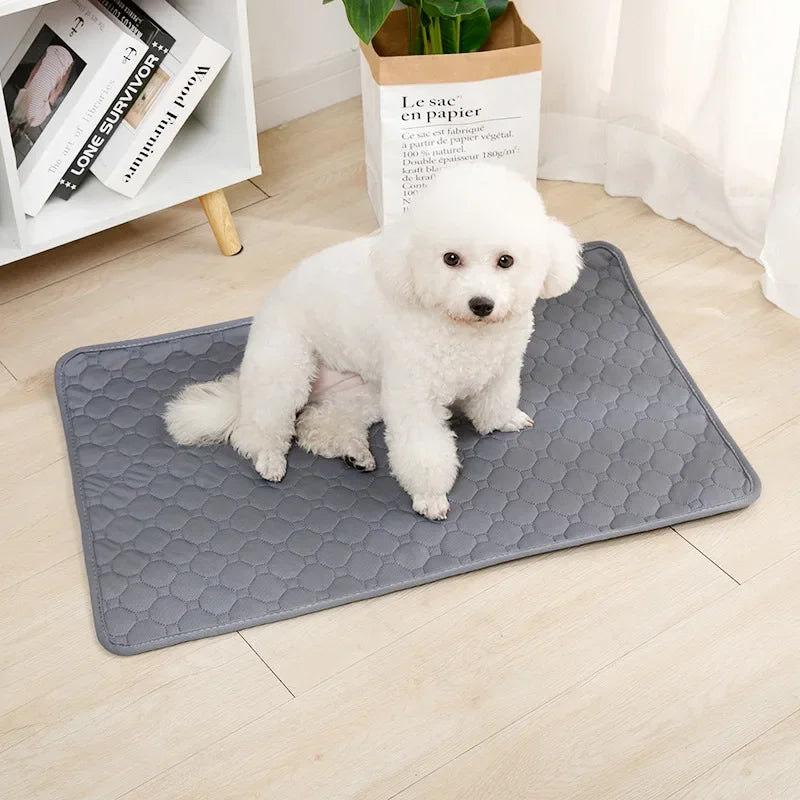 Soft Pet Blanket