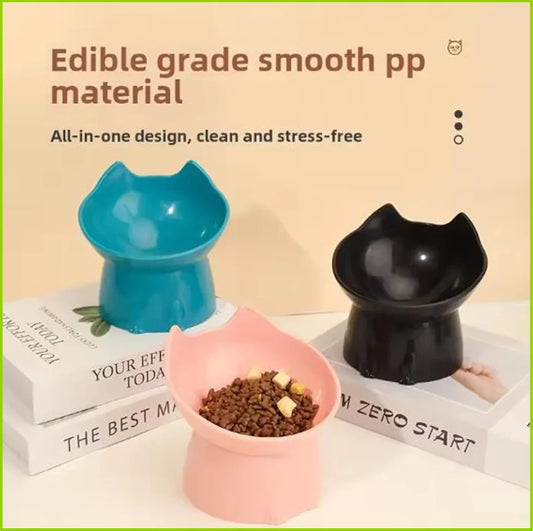 Pet Feeding Bowl