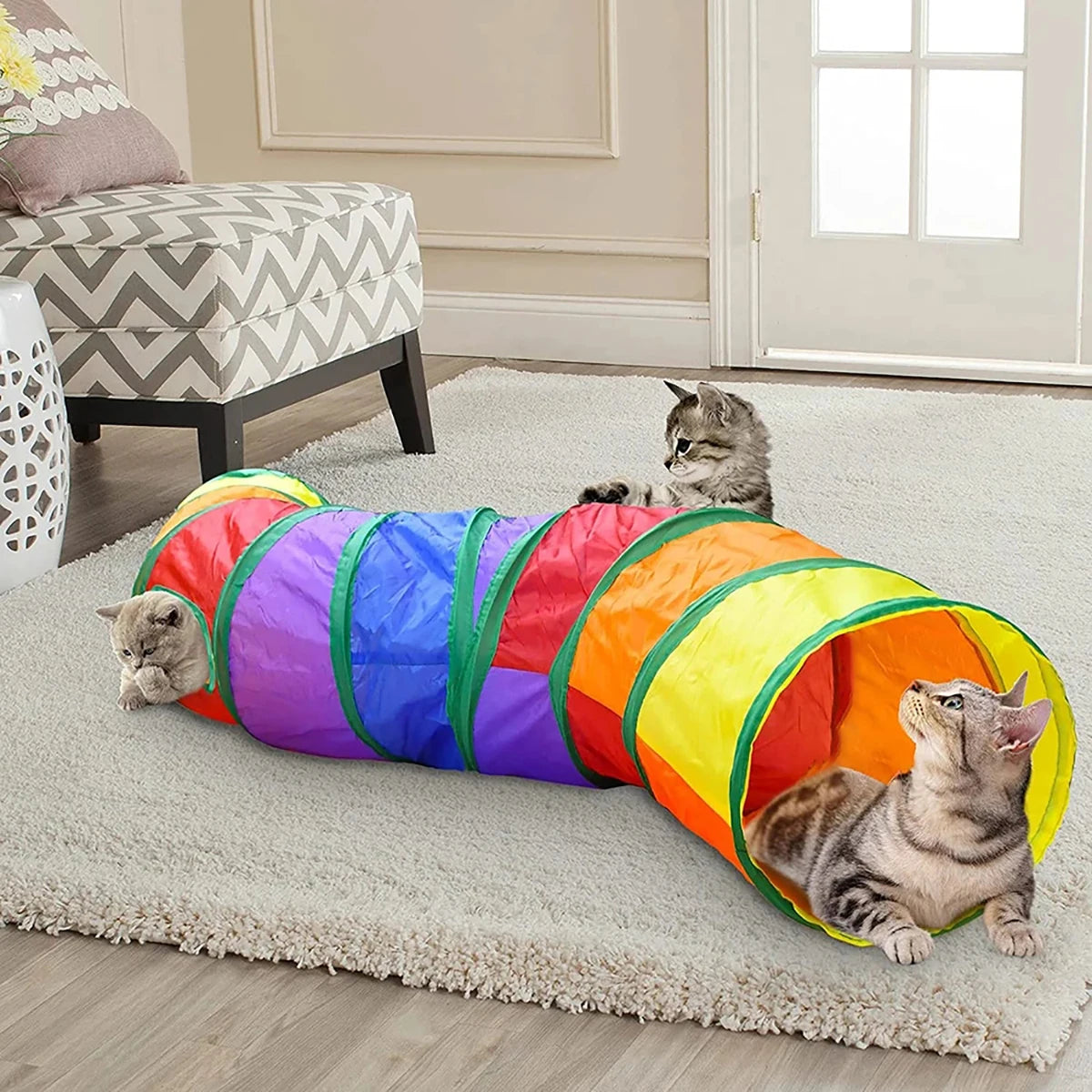 Interactive Pet Toy