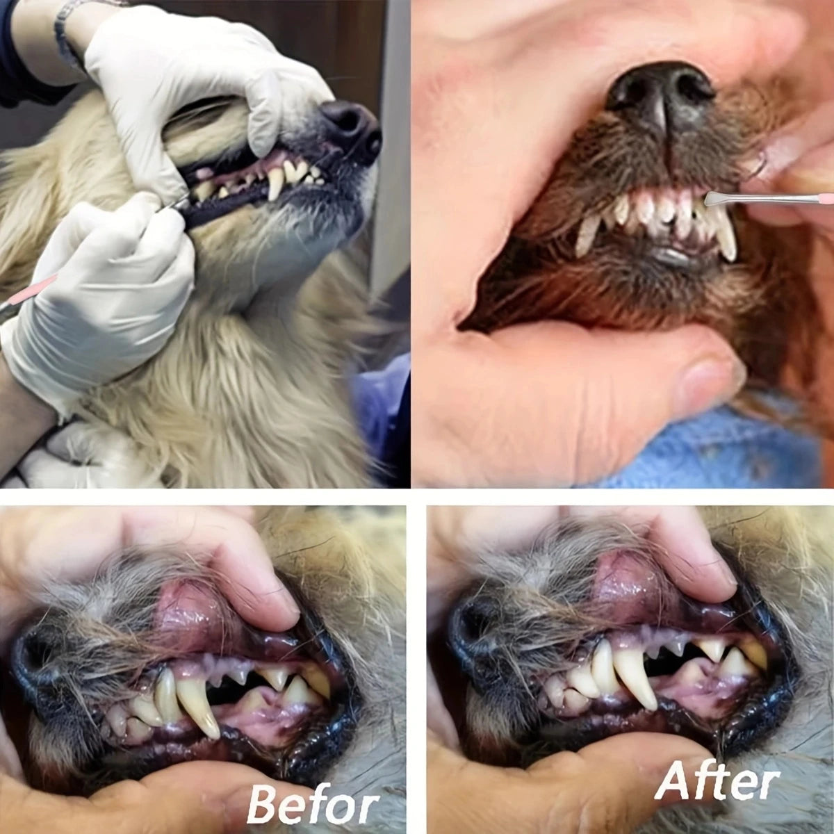 Pet Dental Care Set