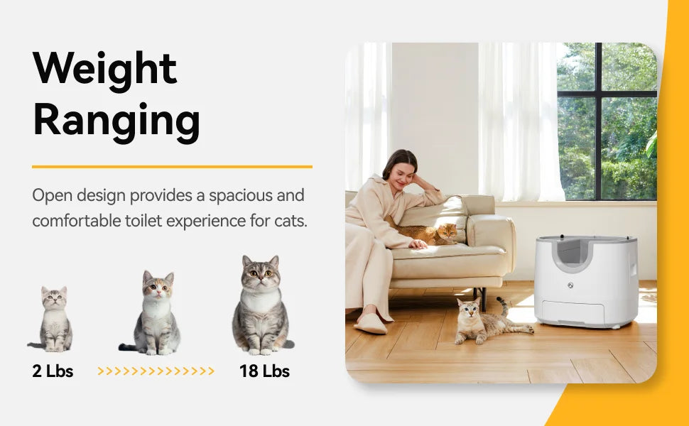 Cat Litter Accessory
