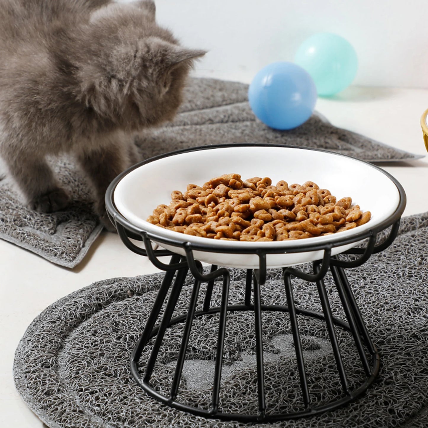 Pet Feeding Bowl