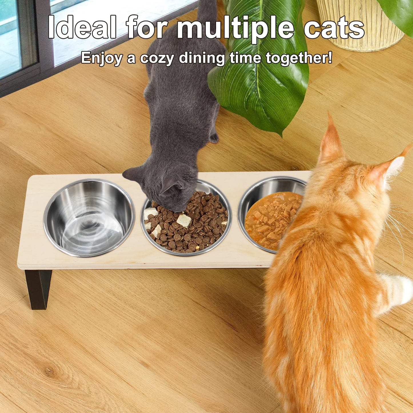 Pet Feeding Bowl