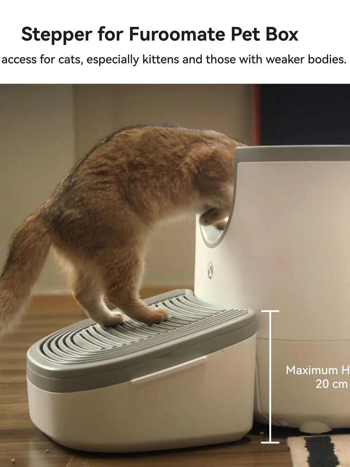 Cat Litter Accessory