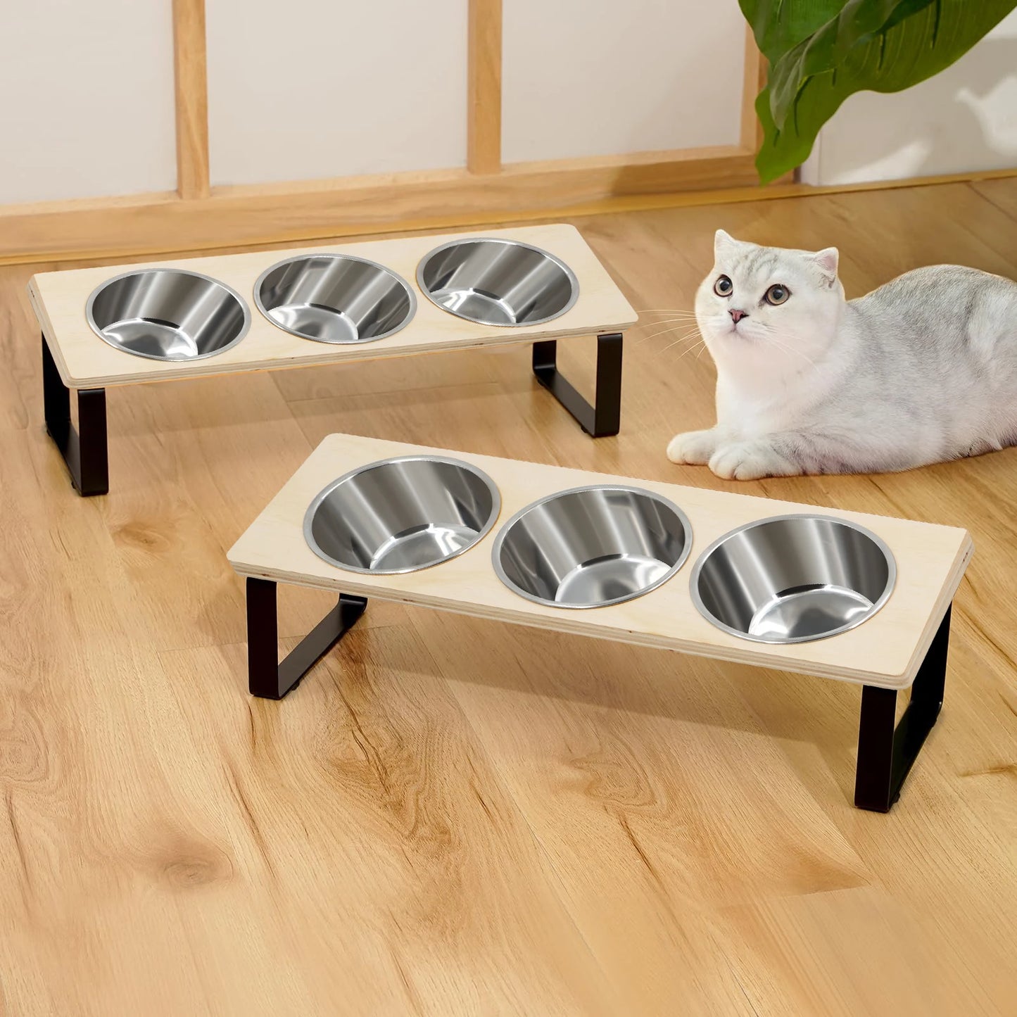 Pet Feeding Bowl