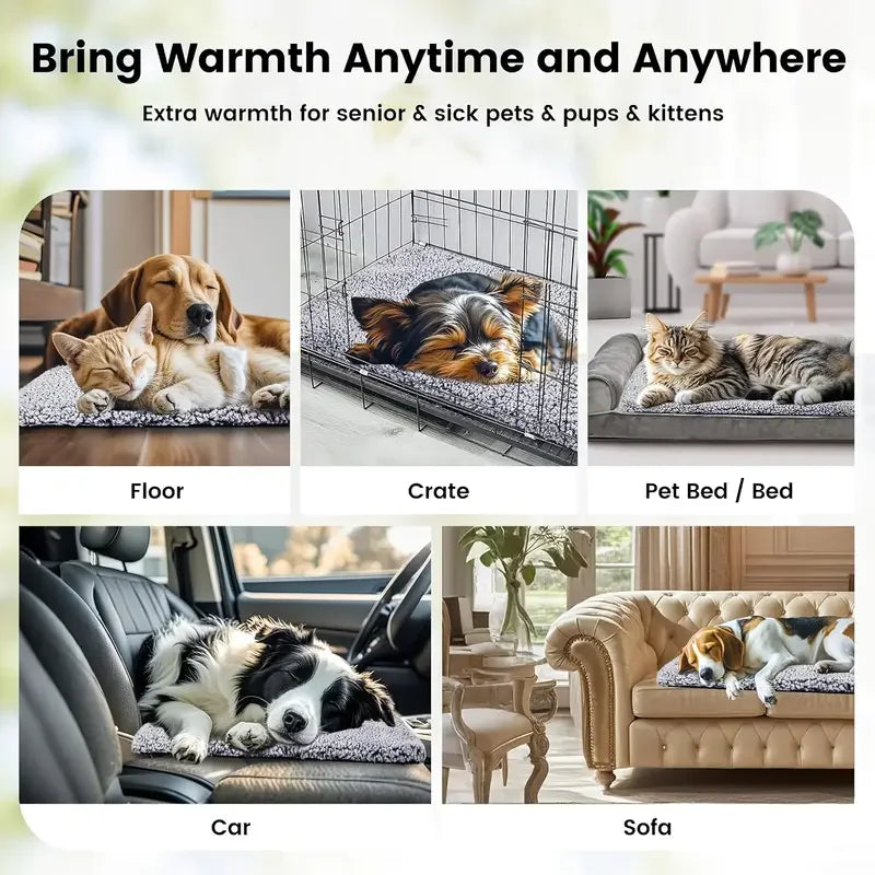 Soft Pet Blanket