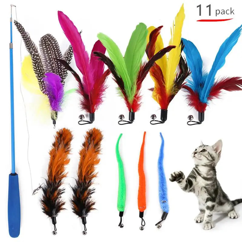 Interactive Pet Toy