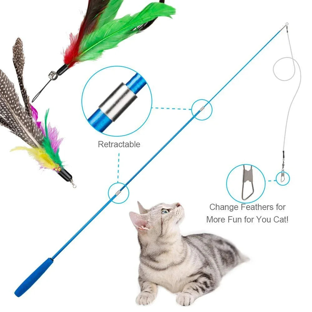 Interactive Pet Toy