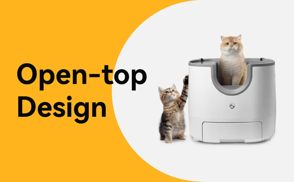 Cat Litter Accessory