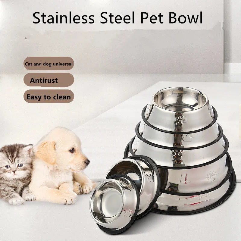 Pet Feeding Bowl