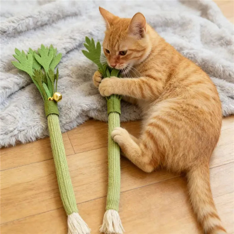 Interactive Pet Toy