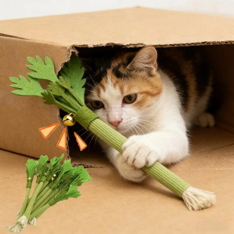 Interactive Pet Toy