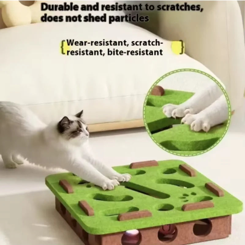 Interactive Pet Ball Toy