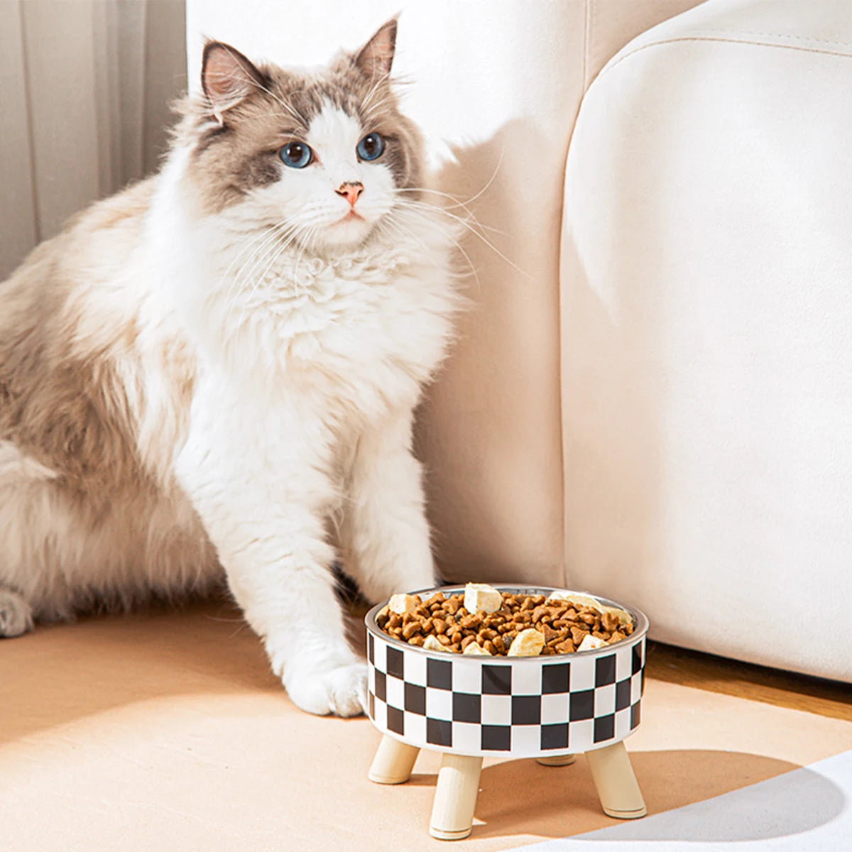 Pet Feeding Bowl