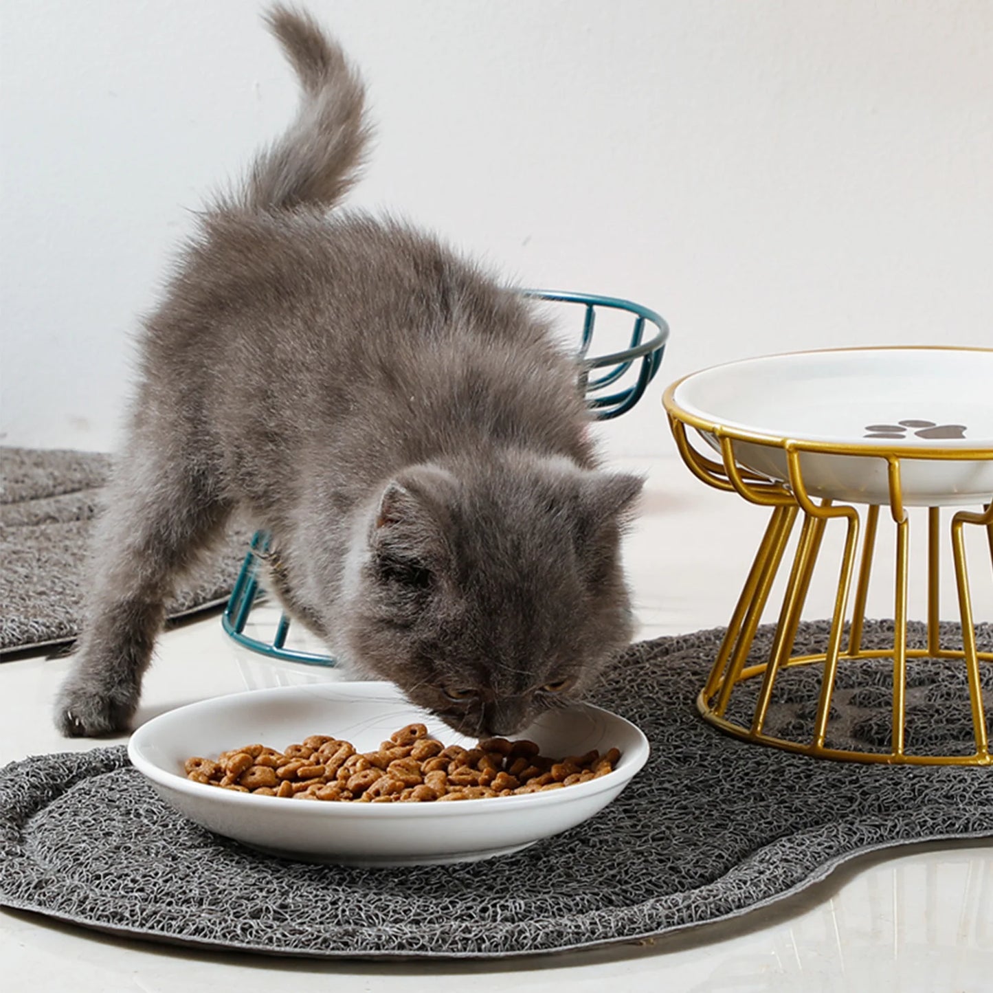 Pet Feeding Bowl