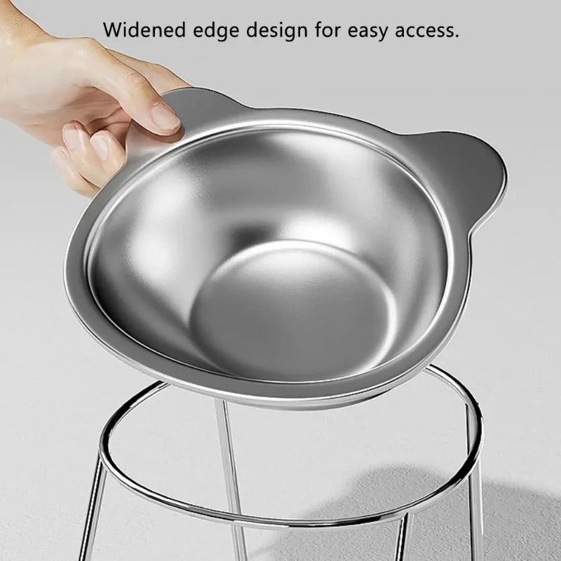 Pet Feeding Bowl