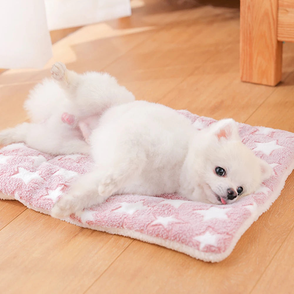 Soft Pet Blanket