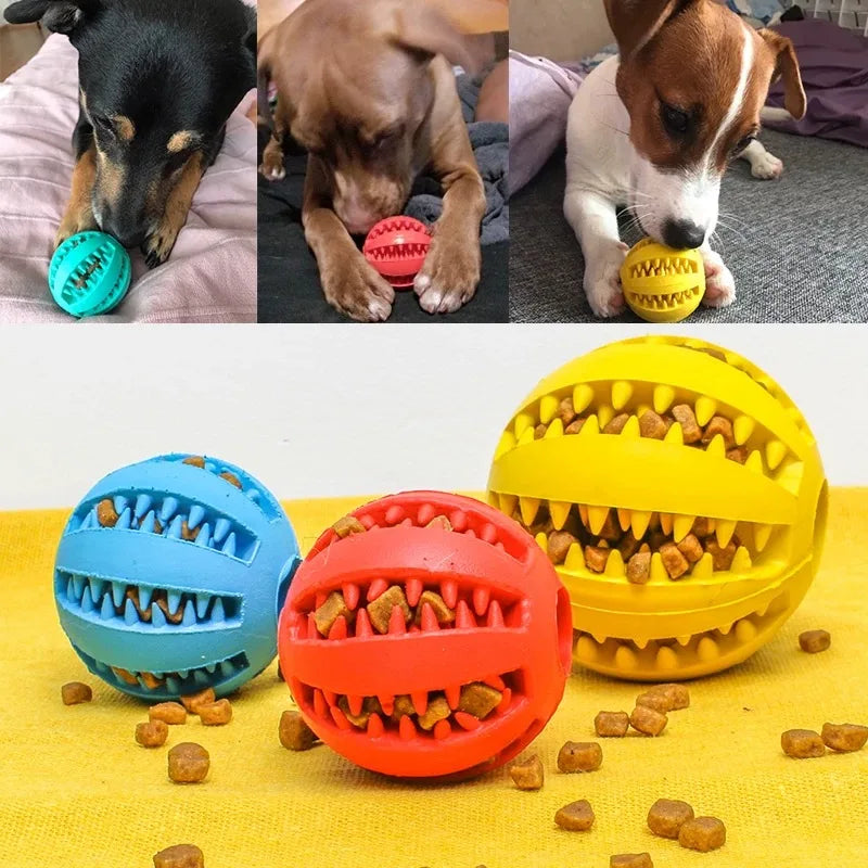 Interactive Pet Ball Toy