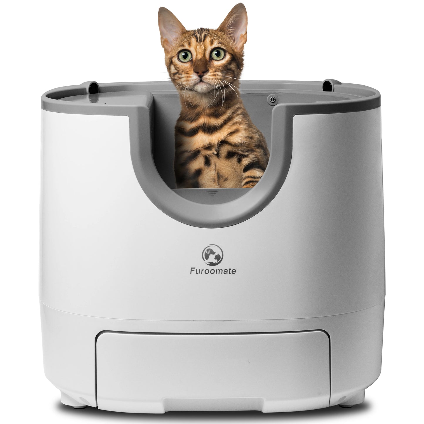 Cat Litter Accessory