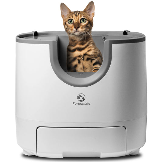 Cat Litter Accessory