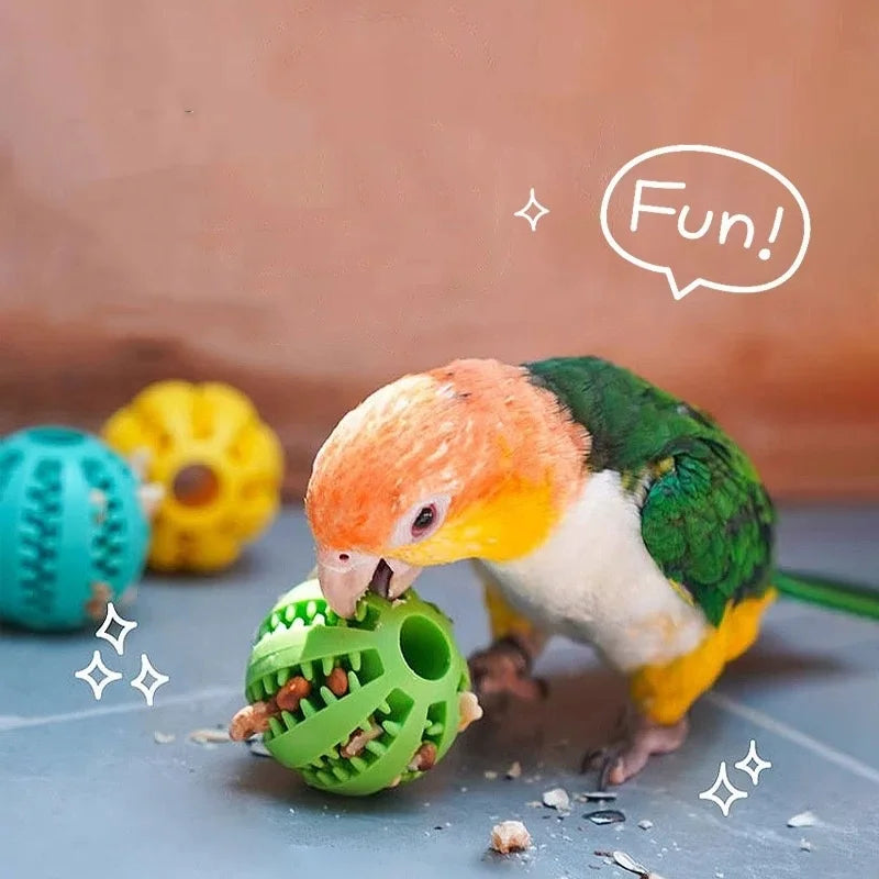 Interactive Pet Ball Toy