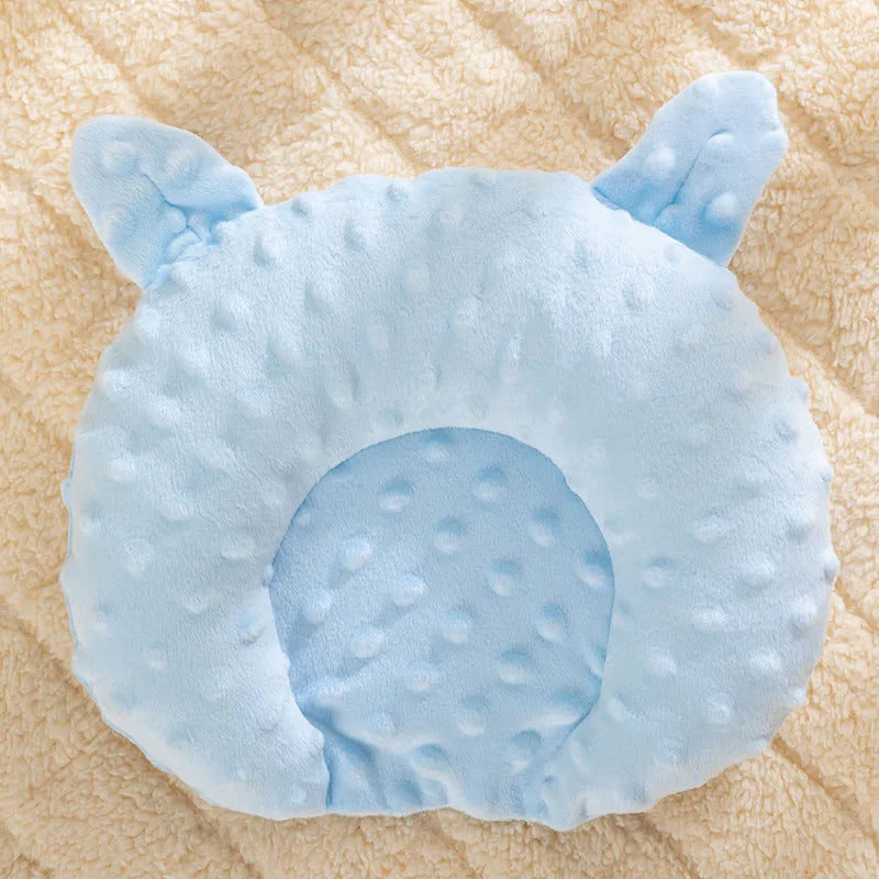 Interactive Pet Toy