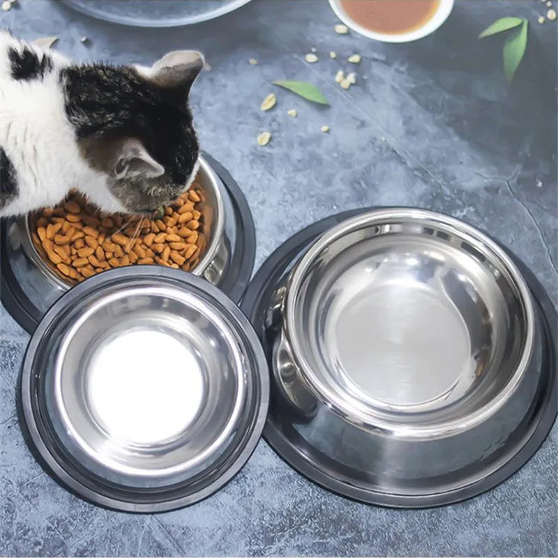 Pet Feeding Bowl