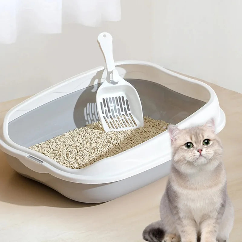 Pet Feeding Bowl