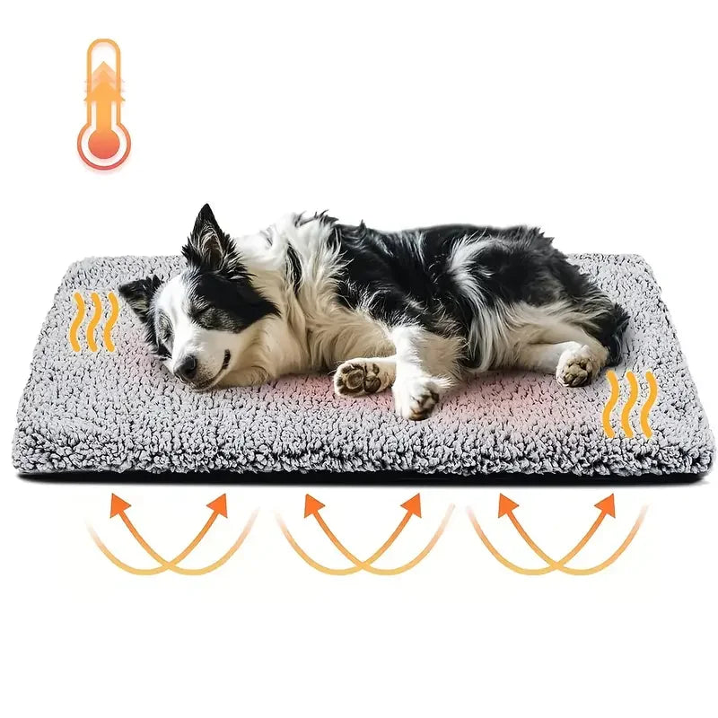 Soft Pet Blanket