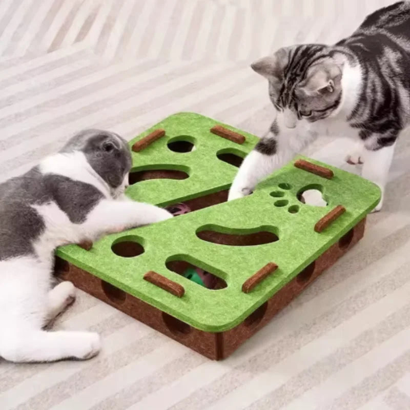 Interactive Pet Ball Toy
