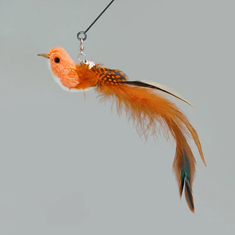 Interactive Pet Toy