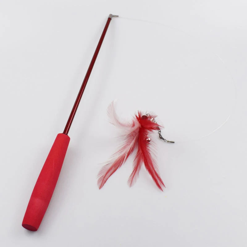 Interactive Pet Toy